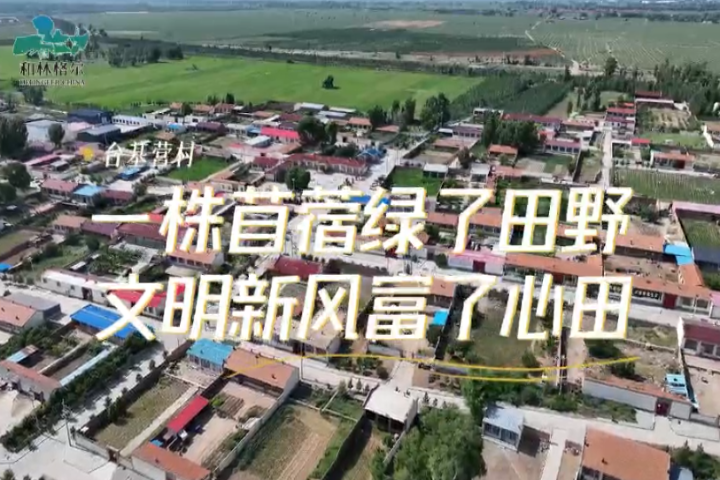 臺基營村：一株苜蓿綠了田野   文明新風(fēng)富了心田