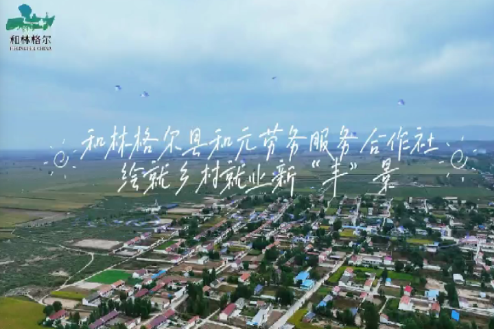 和林格爾縣和元勞務(wù)專業(yè)合作社：繪就鄉(xiāng)村就業(yè)新“豐”景