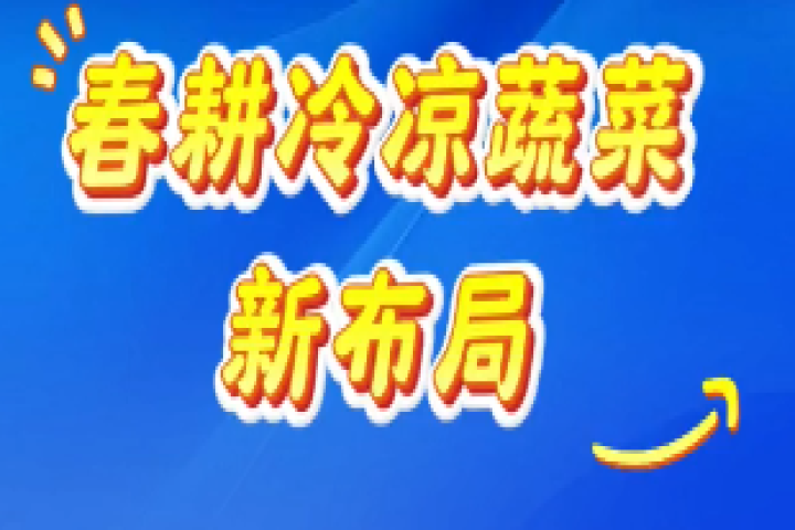 春耕冷涼蔬菜新布局：早播胡蘿卜搶“鮮”機 科技興農(nóng)促增收
