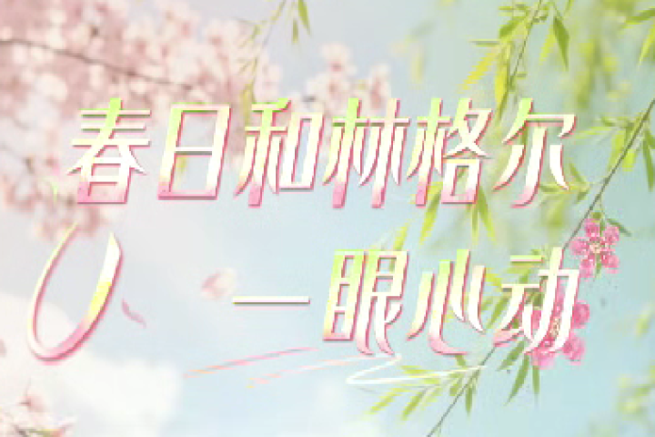 春日和林格爾 一眼心動