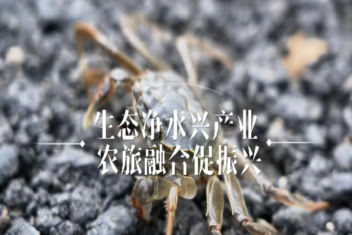 生態(tài)凈水興產(chǎn)業(yè) 農(nóng)旅融合促振興