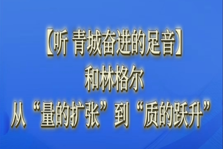 和林格爾：從“量”的擴張 到“質(zhì)”的飛躍