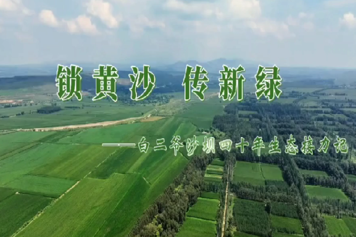 鎖黃沙·傳新綠 ——白二爺沙壩四十年生態(tài)接力記