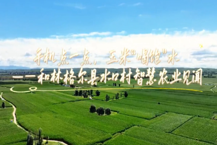 手機點一點，玉米“喝飽”水 ——和林格爾縣水口村智慧農(nóng)業(yè)見聞