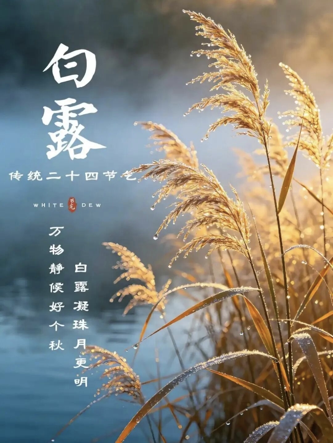 【文明興和林】今日白露，愿你從容自在！